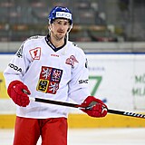 Kapitán hokejové reprezentace, útoèník Roman Èervenka.