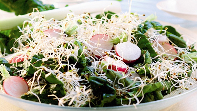 Špenátový salát s klíèky a øedkvièkami