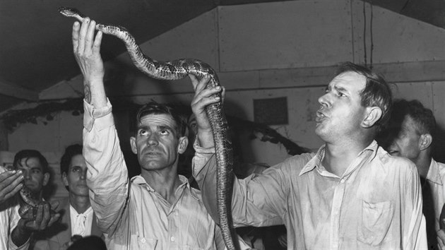 Rituál dotýkání se hadù v Kentucky v roce 1946