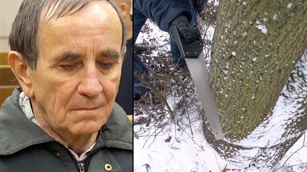 Jaromír Balda je obžalovaný z terorismu, protože poøezal stromy, které se skácely na tra a narazily do nich dva vlaky