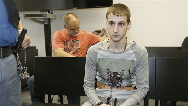 U Krajského soudu v Plzni zaèalo jednání s mladíkem z Ukrajiny. Podle obžaloby...