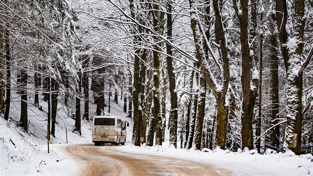 V Orlických horách napadl nový sníh. Na snímku je silnice z Deštného na Šerlich. (19. ledna 2020)