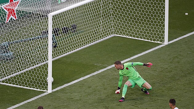 Nizozemský brankáø Maarten Stekelenburg se ohlíží za gólovou støelou Patrika Schicka.