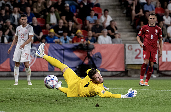 Tomáš Vaclík (ve žlutém) dostává vyrovnávací gól v zápase proti Španìlsku.