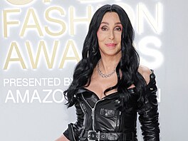 Cher (New York, 7. listopadu 2022)