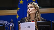 Bývalá místopøedsedkynì Evropského parlamentu Eva Kailiová (7. prosince 2022)