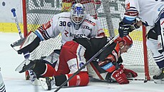 Hradecký útoèník Oliver Okuliar (8) naráží do brankáøe Vítkovic Aleše Stezky.