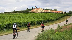 Turisté vyhledávají napøíklad cesty na kolech kolem Zajeèí na Bøeclavsku.