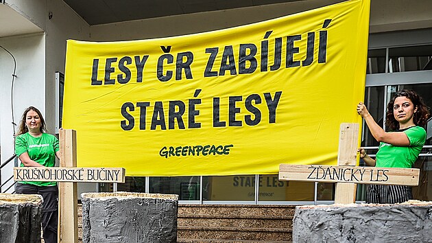 Proti kácení vzácných starých lesù protestovali pøed sídlem Lesù ÈR v Hradci Králové aktivisté z hnutí Greenpeace. (4. øíjna 2023)