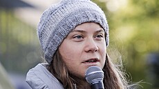 Švédská ekologická aktivistka Greta Thunbergová se v Oslu zúèastnila...