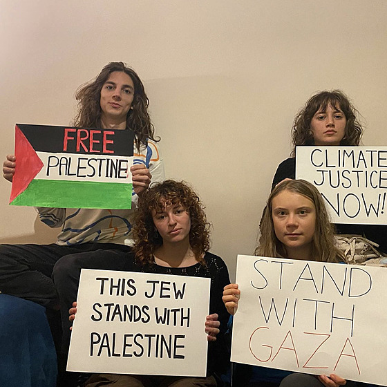 Greta Thunbergová dala na sociální síti najevo podporu Pásmu Gazy, pùvodní foto...