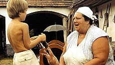 Martin Šotola a Helena Rùžièková ve filmu Slunce, seno, jahody (1983)
