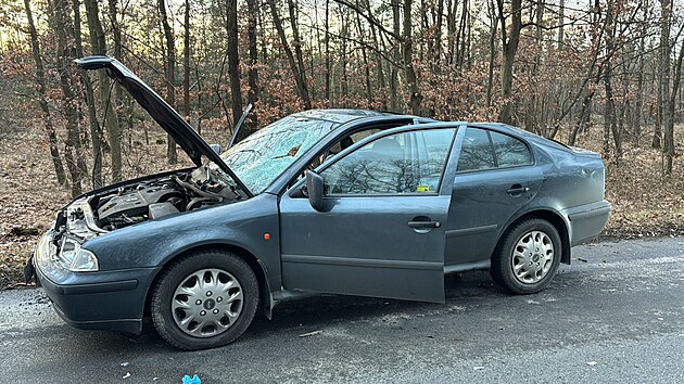 Zdemolované auto, poté, co na nìho spadnul strom (24. ledna 2024).