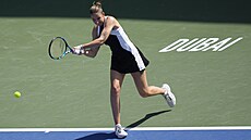 Karolína Plíšková na turnaji v Dubaji