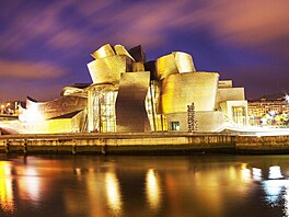 Gehry pùvodnì poèítal použít na fasádu Guggenheimova muzea v Bilbau ocel, ale...