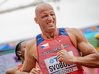 Petr Svoboda dokonèil rozbìh závodu na 110 metrù pøekážek na mistrovství svìta...