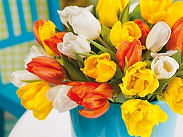 Živé kvìty jsou na jaru vùbec to nejkrásnìjší. A kytici tulipánù dnes koupíte...