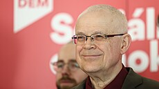 Expremiér Vladimír Špidla na tiskové konferenci Sociální demokracie. (22....