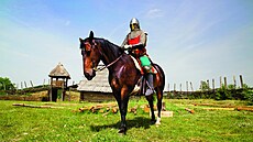Na koni Jindøich jezdí léta, ale jen si ho pùjèuje od Ladislava Tomièe (Curia...