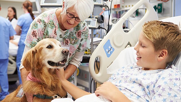 Pes jako doktor. Nejoblíbenìjší u nás, jakožto psího národa, je jistì terapie za pomoci psù.