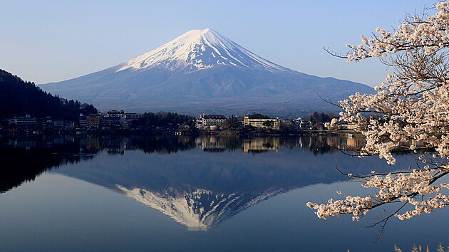 Pohled na kvetoucí tøešnì s japonskou horou Fudži v pozadí (14. dubna 2024)