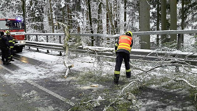 Kvùli snìhu vyjíždìli karlovarští hasièi ve více než ètyøiceti pøípadech odstraòovat popadané stromy na silnice. (21. dubna 2024)