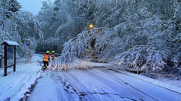 Sníh lámal stromy i v Beskydech. (21. dubna 2024)