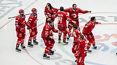 ROZHODNUTO. Tøineètí hokejisté køepèí po rozhodujícím extraligovém finále.