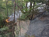 Požár ve ètvrtek veèer zasáhl les u Žehrova na Mladoboleslavsku. Nyní ho hasièi...