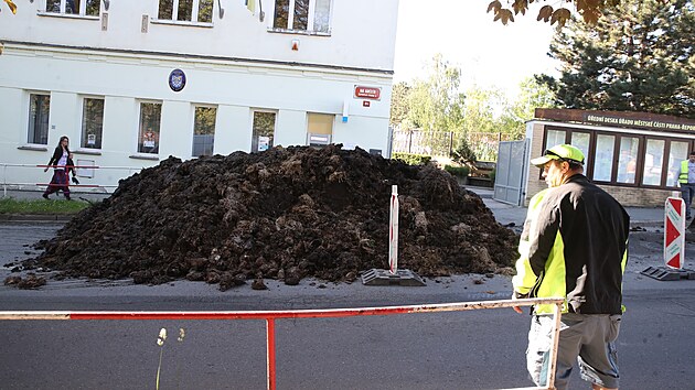 Pøed mìstským úøadem v pražských Øeporyjích se v úterý ráno objevila hromada hnoje. Starostovi Pavlovi Novotnému z ODS mu ji tam pøivezli aktivisté podporující zemìdìlské protesty. (14. kvìtna 2024)