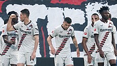 Patrick Schick (druhý zleva) slaví se svými spoluhráèi  gól Leverkusenu v...