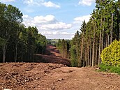V lesích u Kramolny už jsou prùseky pro obchvat Náchoda. (29. kvìtna 2024)