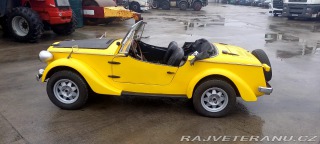Fiat  Siata Kabrio 1960 s TP