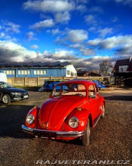 Volkswagen Brouk 
