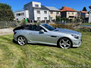 Mercedes-Benz SLK SLK 350 BlueEFFICIENCY 2012
