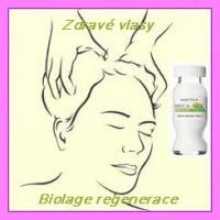 Vlasová regenerace Biolage