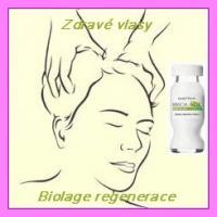 Vlasová regenerace Biolage